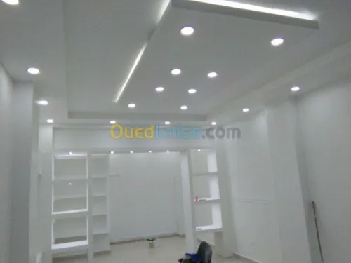 Placoplatre faux plafond BA13