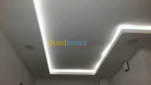 Placoplatre faux plafond BA13