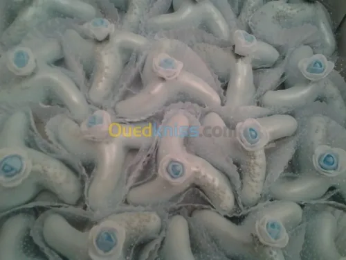 Gateau oriental a l'amande 