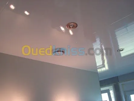 Faux plafond pvc 