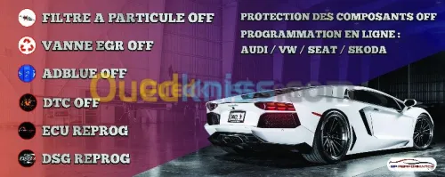 PROGRAMATION ONLINE:  VAG BENZ RANGE 