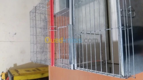 Cage de lapin _ اقفاص ارانب 