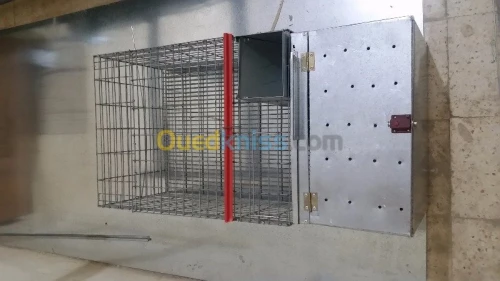 Cage de lapin _ اقفاص ارانب 