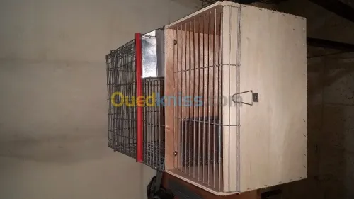 Cage de lapin _ اقفاص ارانب 