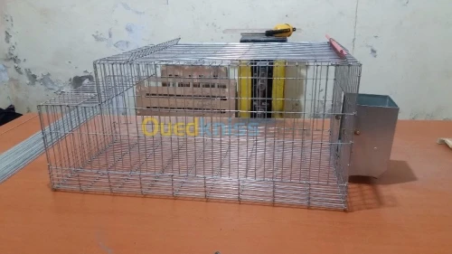 Cage de lapin _ اقفاص ارانب 