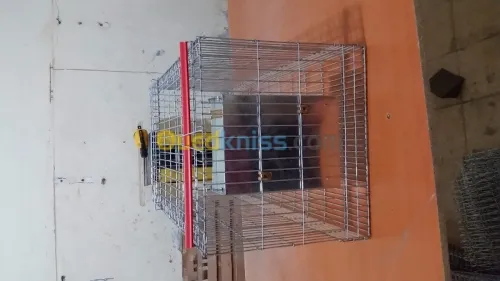 Cage de lapin _ اقفاص ارانب 