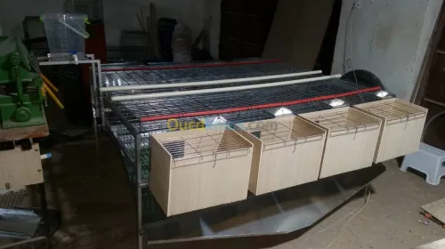 Cage de lapin _ اقفاص ارانب 