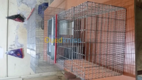 Cage de lapin _ اقفاص ارانب 