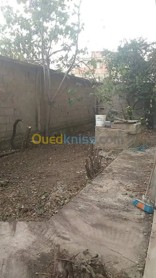 Vente Villa Constantine Constantine