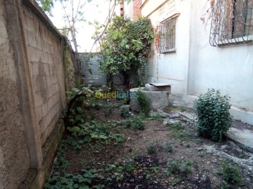 Vente Villa Constantine Constantine