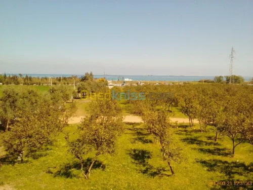 Location vacances Niveau De Villa F2 Bejaia Tichy