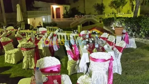 organisation de fêtes 