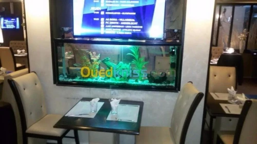 aquarium