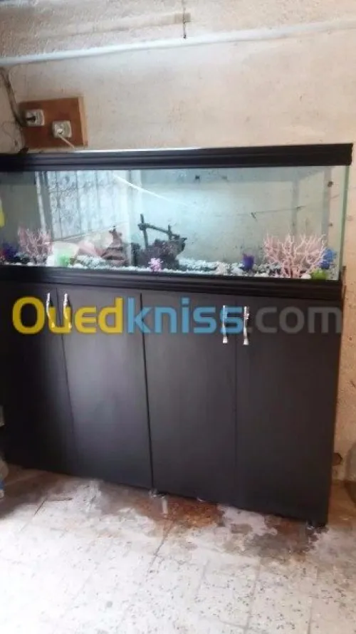 aquarium