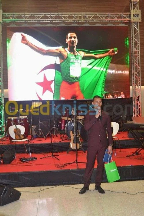 ecran geant a LED , Affichage a LED .