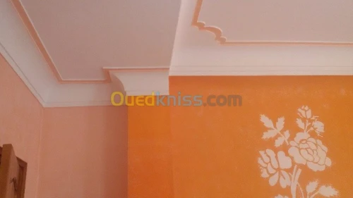 Peinture décorative  