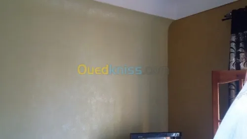 Peinture décorative  