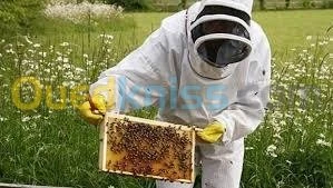 formation d'apiculteur