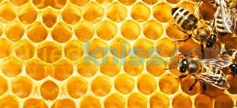 formation d'apiculteur