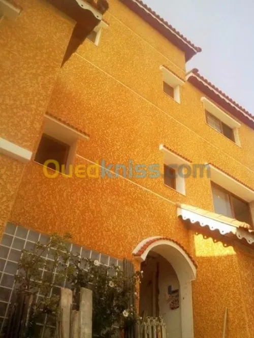 Tout type de travaux de peinture 