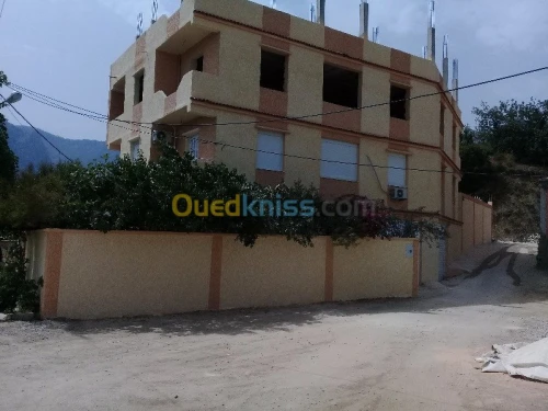 Tout type de travaux de peinture 