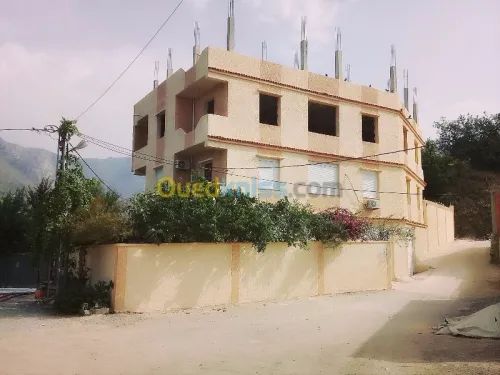 Tout type de travaux de peinture 