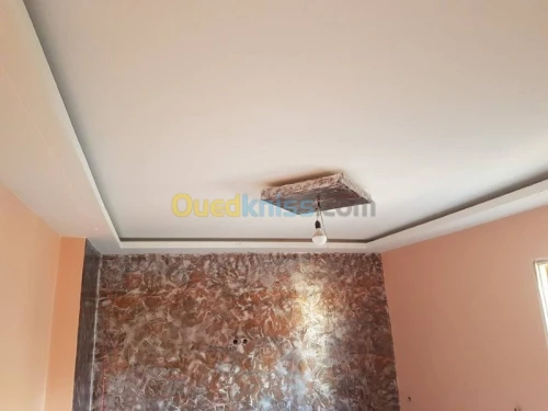 Pose : Tout faux plafond
