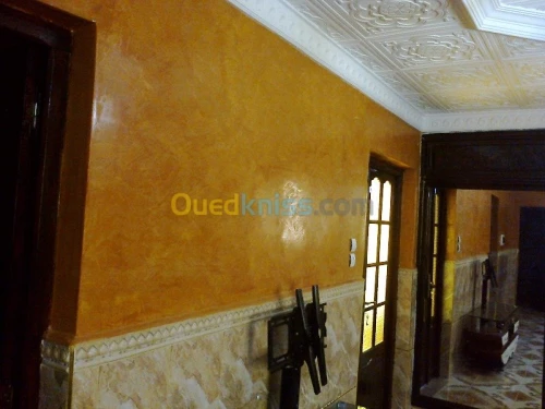  peinture interieure et exterieure