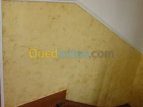  peinture interieure et exterieure