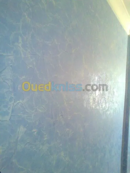  peinture interieure et exterieure
