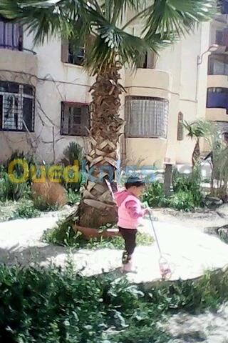 Vente Appartement F2 Batna Batna