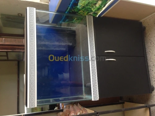 Fabrication Aquarium 