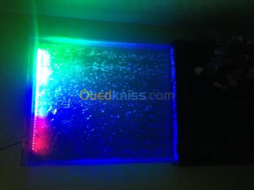 Fabrication Aquarium 