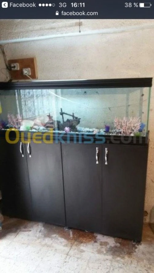 Fabrication Aquarium 