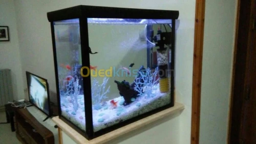 Fabrication Aquarium 