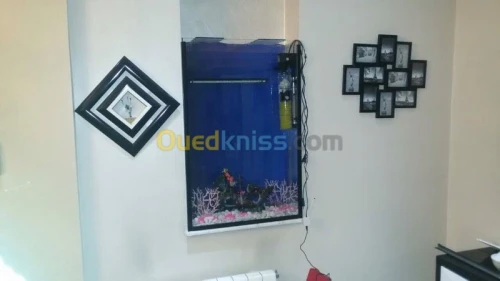 Fabrication Aquarium 