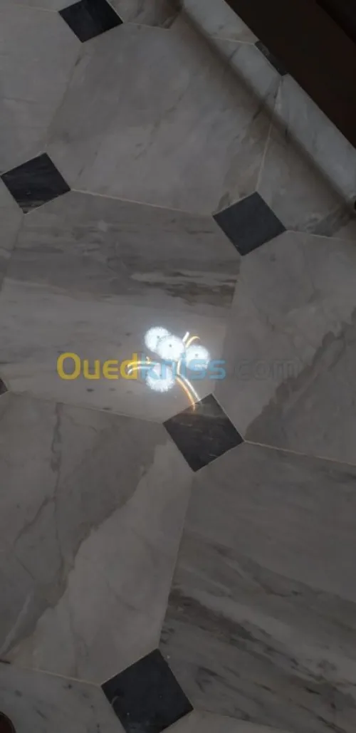 pançage et lustrage