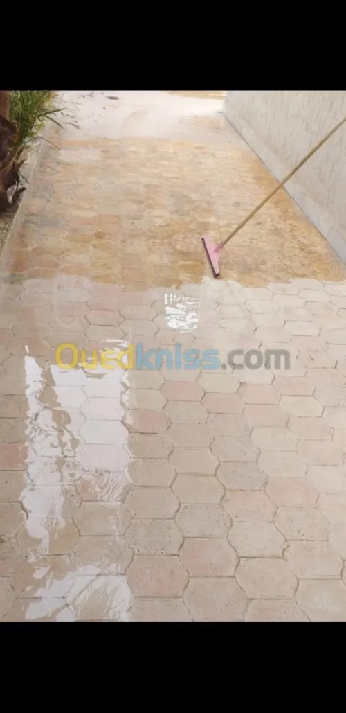 pançage et lustrage