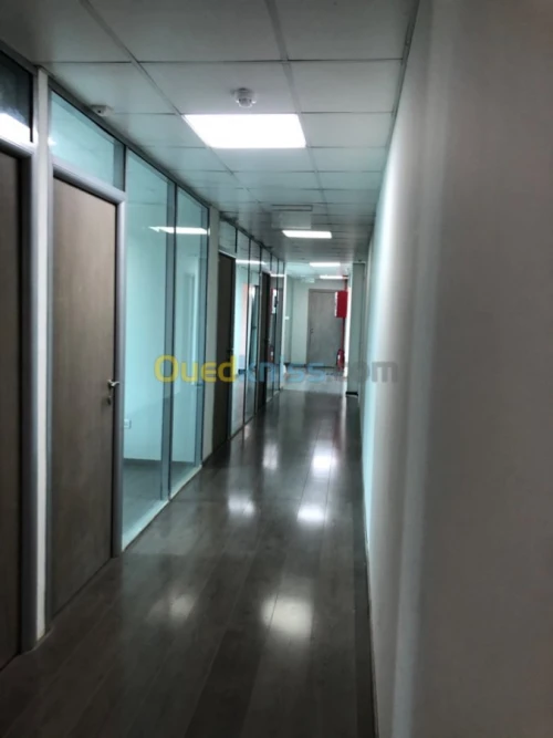 Location Hangar Alger Rouiba