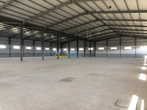 Location Hangar Alger Rouiba
