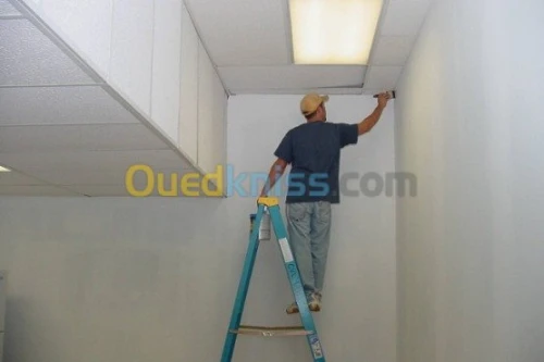 peinter et platre 