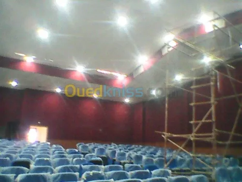 faux plafond -electricité général
