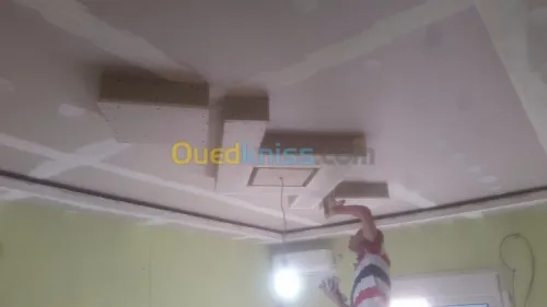 faux plafond -electricité général