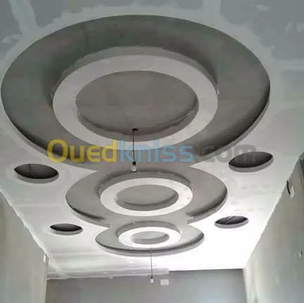 faux plafond -electricité général