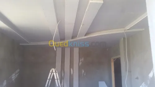 faux plafond -electricité général