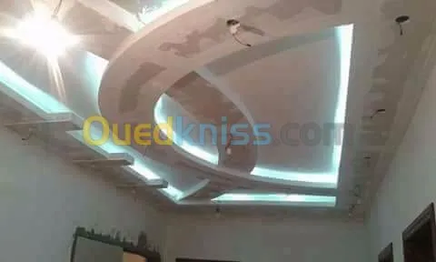 faux plafond -electricité général