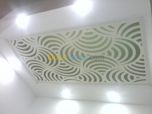 faux plafond -electricité général