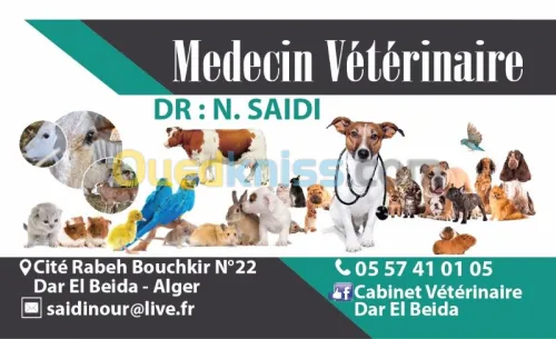 Médecin vétérinaire 