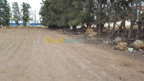 Vente Terrain Alger Hraoua