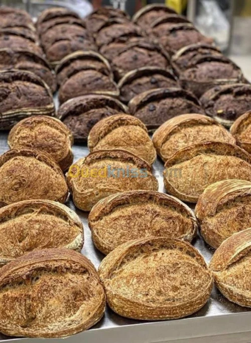 Four de Boulangerie et Pâtisserie 